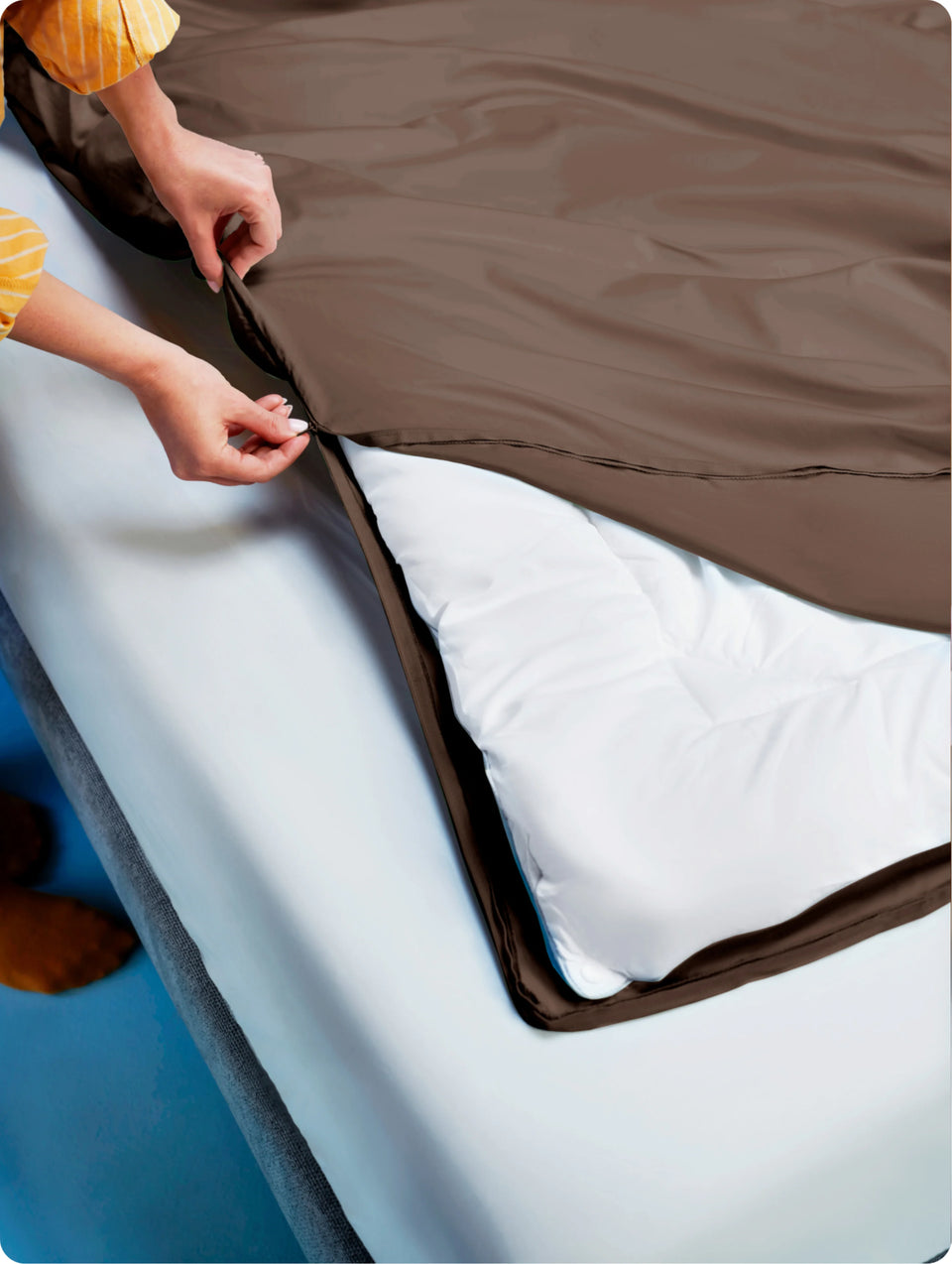 chocolate-brown